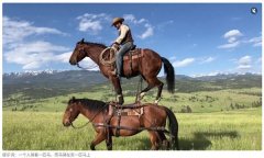 但内容100AI生成的